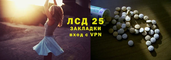 ГАЛЛЮЦИНОГЕННЫЕ ГРИБЫ Абаза