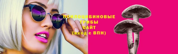 ГАЛЛЮЦИНОГЕННЫЕ ГРИБЫ Абаза