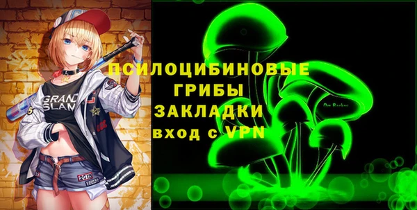 ГАЛЛЮЦИНОГЕННЫЕ ГРИБЫ Абаза