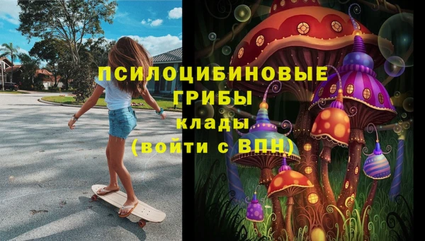 Альфа ПВП Алексин