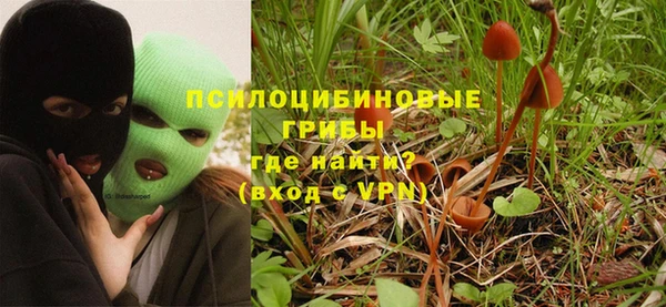 ГАЛЛЮЦИНОГЕННЫЕ ГРИБЫ Абаза